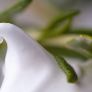 Meringues Savoureuses Truffées d’Amandes Craquantes et au Romarin frais